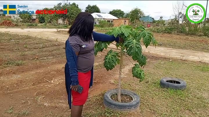 Prudence Nalavwe